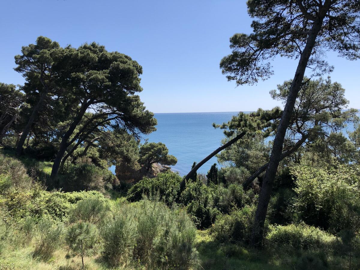 Long Beach Apartment Ulcinj Ngoại thất bức ảnh